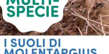 Cagliari esplora i suoli di Molentargius, terza passeggiata del ciclo “La Città Multispecie”